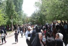 گزارش تصویری از همایش پیاده روی کارکنان در 22 اردیبهشت ماه 